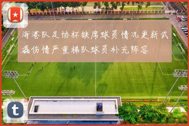 海港队足协杯缺席球员情况更新武磊伤情严重梯队球员补充阵容