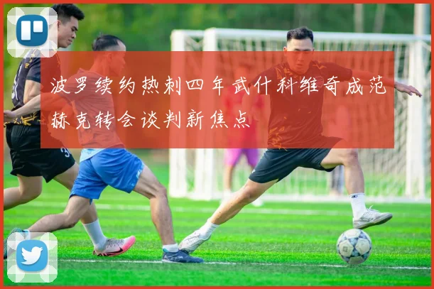波罗续约热刺四年武什科维奇成范赫克转会谈判新焦点